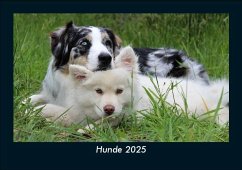 Cover Hunde 2025 Fotokalender DIN A5