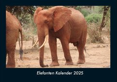 Cover Elefanten Kalender 2025 Fotokalender DIN A4