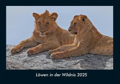 Cover Löwen in der Wildnis 2025 Fotokalender DIN A4
