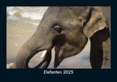 Cover Elefanten 2025 Fotokalender DIN A5