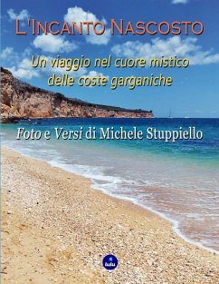 Cover L'Incanto Nascosto