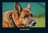 Hunde 2025 Fotokalender DIN A4 - Bild 1