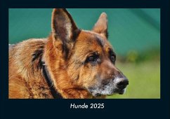 Cover Hunde 2025 Fotokalender DIN A4