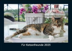 Cover Für Katzenfreunde 2025 Fotokalender DIN A5