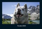 Hunde 2025 Fotokalender DIN A4