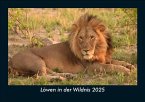 Löwen in der Wildnis 2025 Fotokalender DIN A5
