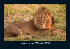 Cover Löwen in der Wildnis 2025 Fotokalender DIN A5