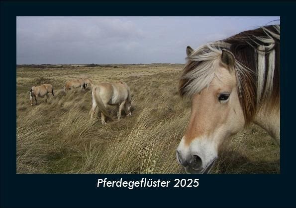 Pferdegeflüster 2025 Fotokalender DIN A5