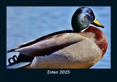 Enten 2025 Fotokalender DIN A5 Cover Enten 2025 Fotokalender DIN A5