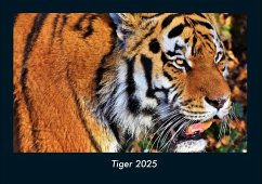 Tiger 2025 Fotokalender DIN A4 - Tobias Becker