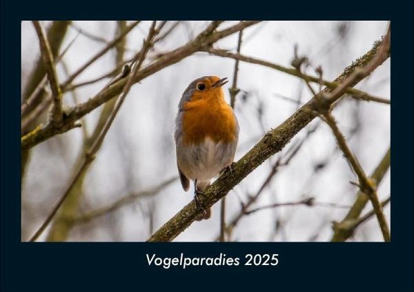 Vogelparadies 2025 Fotokalender DIN A4 Vogelparadies 2025 Fotokalender DIN A4