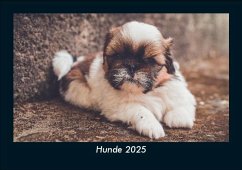 Hunde 2025 Fotokalender DIN A5 Cover Hunde 2025 Fotokalender DIN A5