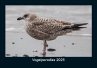 Vogelparadies 2025 Fotokalender DIN A5 - Bild 1