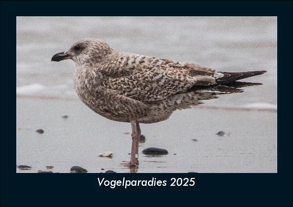 Vogelparadies 2025 Fotokalender DIN A5 Vogelparadies 2025 Fotokalender DIN A5