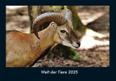 Welt der Tiere 2025 Fotokalender DIN A4 Welt der Tiere 2025 Fotokalender DIN A4