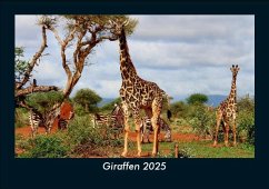 Cover Giraffen 2025 Fotokalender DIN A5