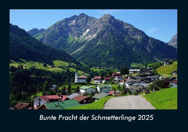 Bunte Pracht der Schmetterlinge 2025 Fotokalender DIN A4