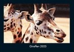 Giraffen 2025 Fotokalender DIN A4