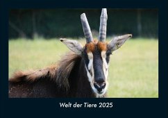 Cover Welt der Tiere 2025 Fotokalender DIN A4