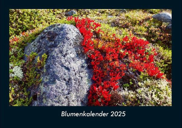 Blumenkalender 2025 Fotokalender DIN A4