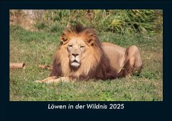 Cover Löwen in der Wildnis 2025 Fotokalender DIN A5