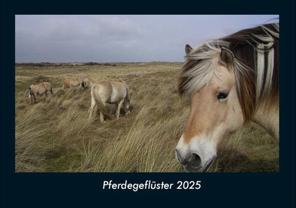 Pferdegeflüster 2025 Fotokalender DIN A4