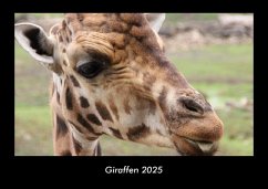 Cover Giraffen 2025 Fotokalender DIN A3