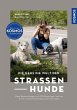Die geheime Welt der Straßenhunde - Bild 1