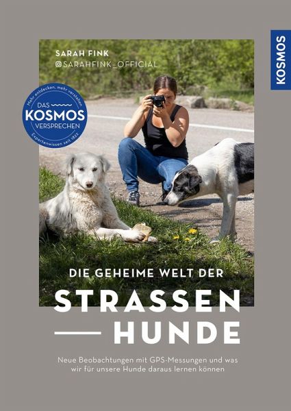 Die geheime Welt der Straßenhunde