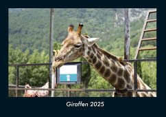 Cover Giraffen 2025 Fotokalender DIN A4