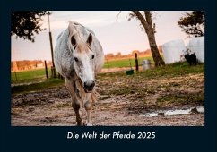 Cover Die Welt der Pferde 2025 Fotokalender DIN A4