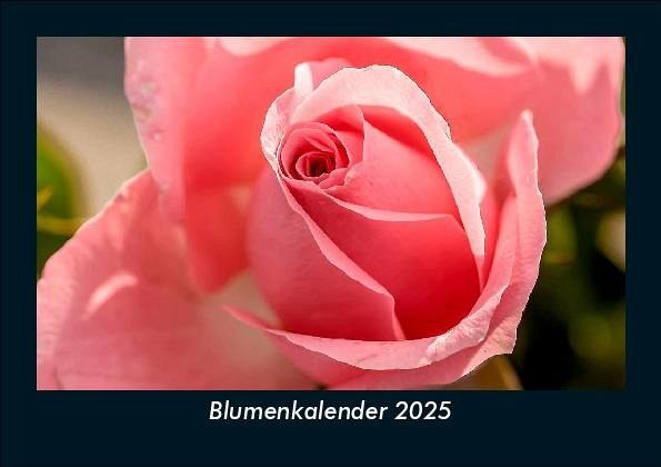 Blumenkalender 2025 Fotokalender DIN A5