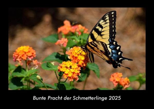 Bunte Pracht der Schmetterlinge 2025 Fotokalender DIN A3 Bunte Pracht der Schmetterlinge 2025 Fotokalender DIN A3
