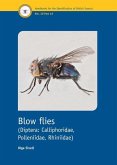 Blow Flies (Diptera: Calliphoridae, Polleniidae, Rhiniidae) Blow Flies (Diptera: Calliphoridae, Polleniidae, Rhiniidae)