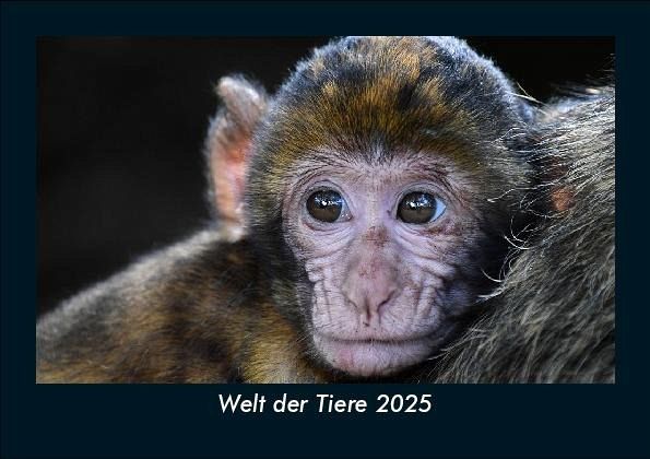 Welt der Tiere 2025 Fotokalender DIN A5