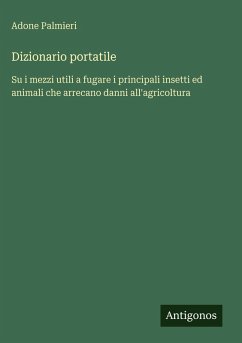 Cover Dizionario portatile