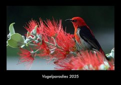 Cover Vogelparadies 2025 Fotokalender DIN A3
