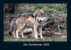 Der Tierkalender 2025 Fotokalender DIN A4 - Tobias Becker