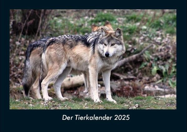 Der Tierkalender 2025 Fotokalender DIN A4 Der Tierkalender 2025 Fotokalender DIN A4
