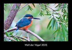 Cover Welt der Vögel 2025 Fotokalender DIN A3