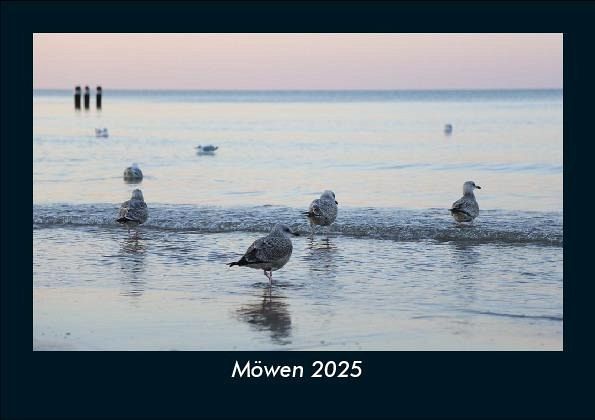 Möwen 2025 Fotokalender DIN A5 Möwen 2025 Fotokalender DIN A5