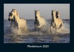 Pferdetraum 2025 Fotokalender DIN A4