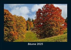 Cover Bäume 2025 Fotokalender DIN A5