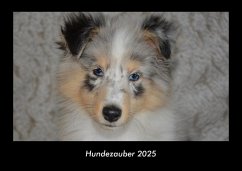 Cover Hundezauber 2025 Fotokalender DIN A3