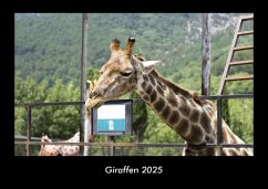 Cover Giraffen 2025 Fotokalender DIN A3