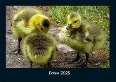 Enten 2025 Fotokalender DIN A4 Enten 2025 Fotokalender DIN A4