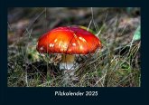 Pilzkalender 2025 Fotokalender DIN A4 Pilzkalender 2025 Fotokalender DIN A4