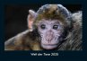 Welt der Tiere 2025 Fotokalender DIN A4 - Bild 1
