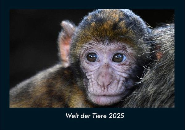 Welt der Tiere 2025 Fotokalender DIN A4