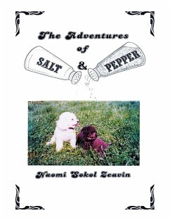 Cover The Adventures of Salt & Pepper